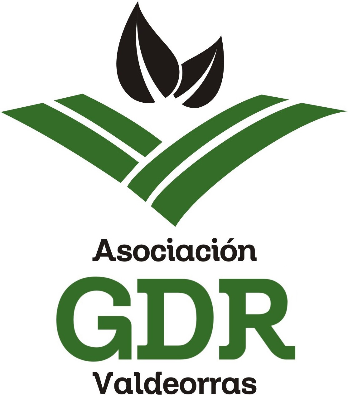 logo-gdr-valdeorras