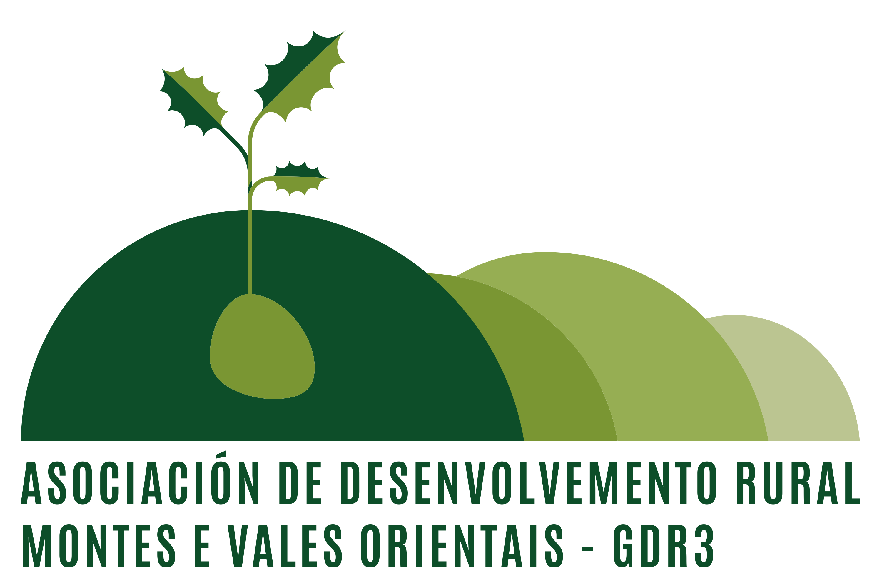 logo-gdr3-positivo-color-1